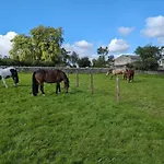 The Old Farmhouse, Yealand Redmayne, A Characterful In A Rural Setting * Beetham