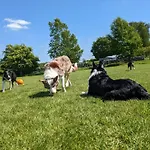 The Old Farmhouse, Yealand Redmayne, A Characterful In A Rural Setting Casa de Férias