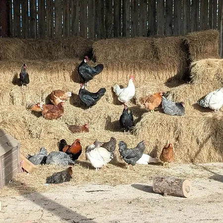 בית נופש The Old Farmhouse, Yealand Redmayne, A Characterful In A Rural Setting